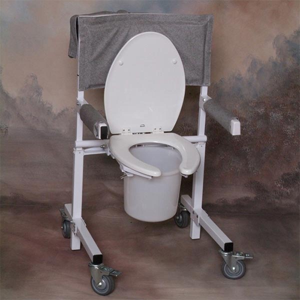 A mobile toilet aid for lifting individuals down and up from the toilet